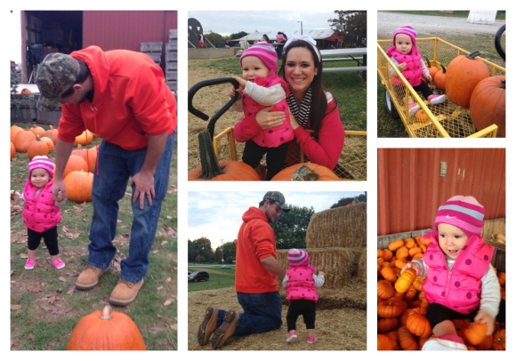 pumpkin patch collage