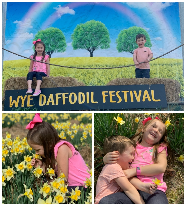 Daffodilhill-1