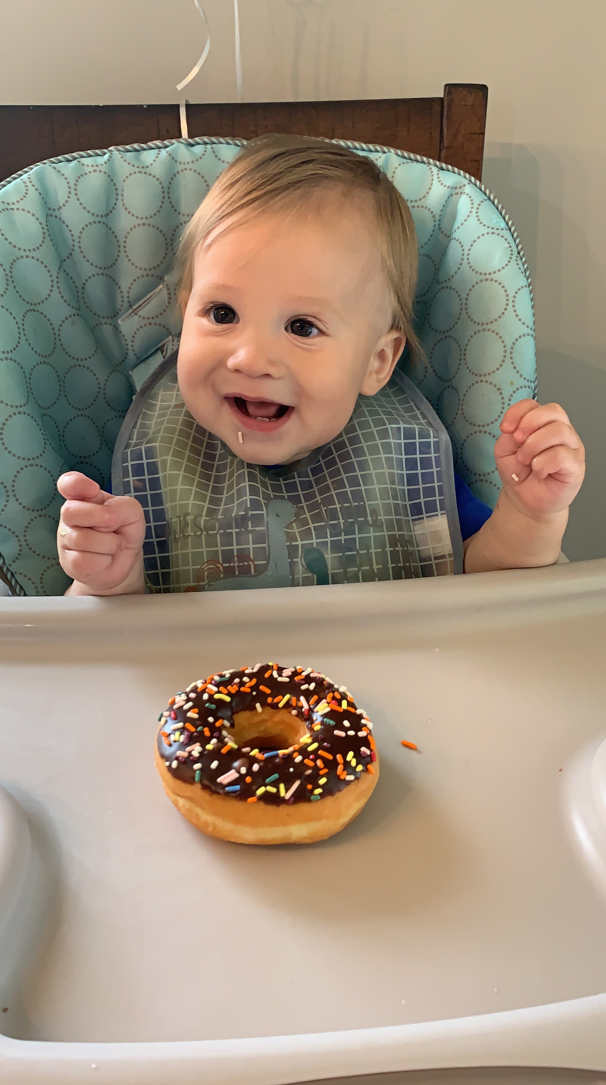 Brody-donut